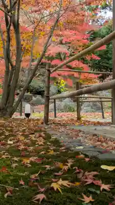 長岡天満宮(京都府)