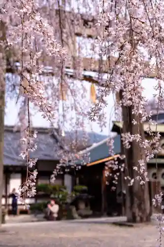 大石神社(京都府)