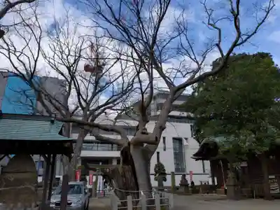 阿邪訶根神社(福島県)
