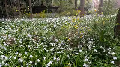 椎尾神社(大阪府)