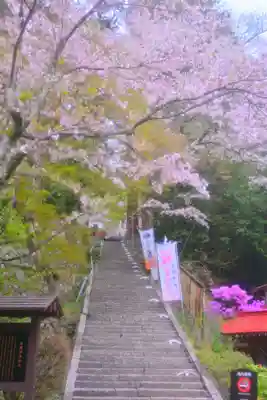金櫻神社(山梨県)