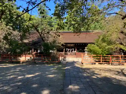 大井俣窪八幡神社の本殿