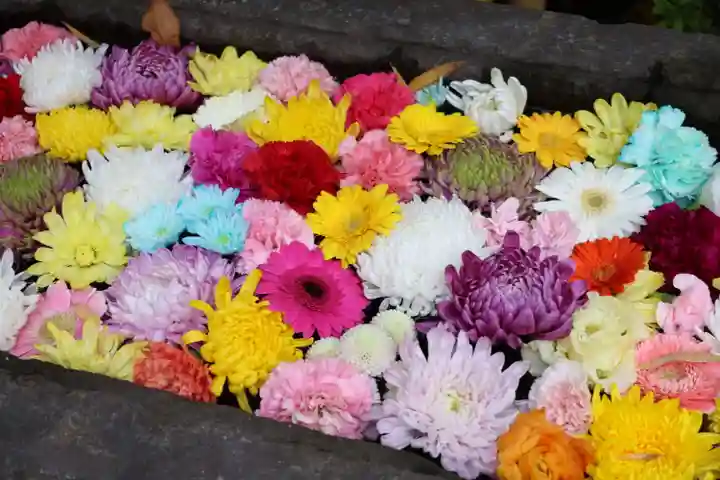 回向院(東京都)