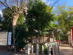 伊奴神社の建物その他