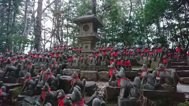 豊川閣 妙厳寺の狛犬