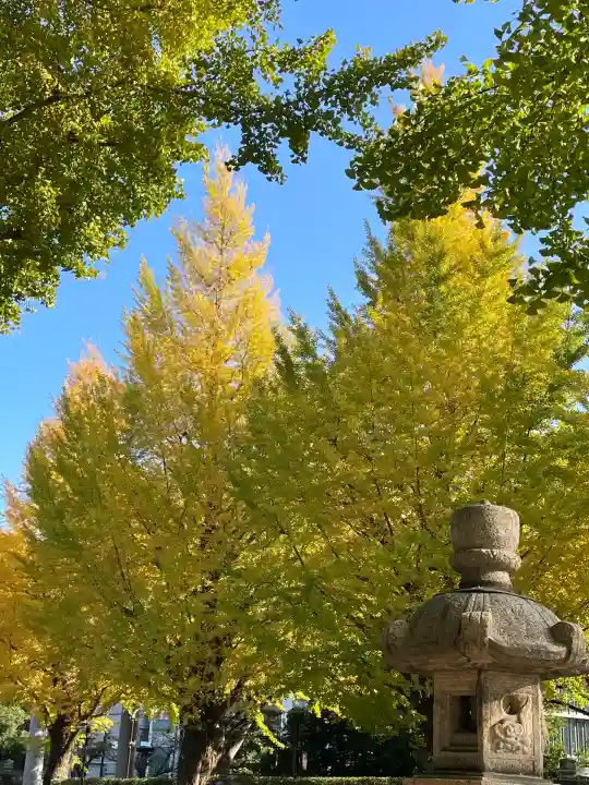 靖國神社(東京都)