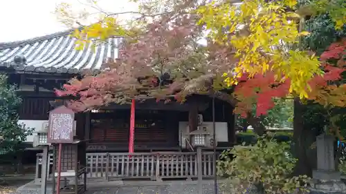 大報恩寺（千本釈迦堂）の本殿・本堂
