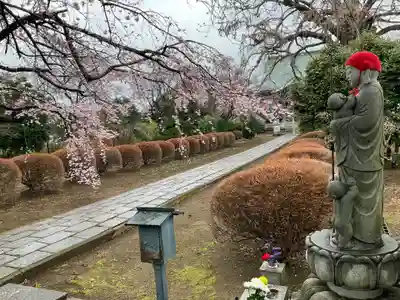 圓藏院(埼玉県)