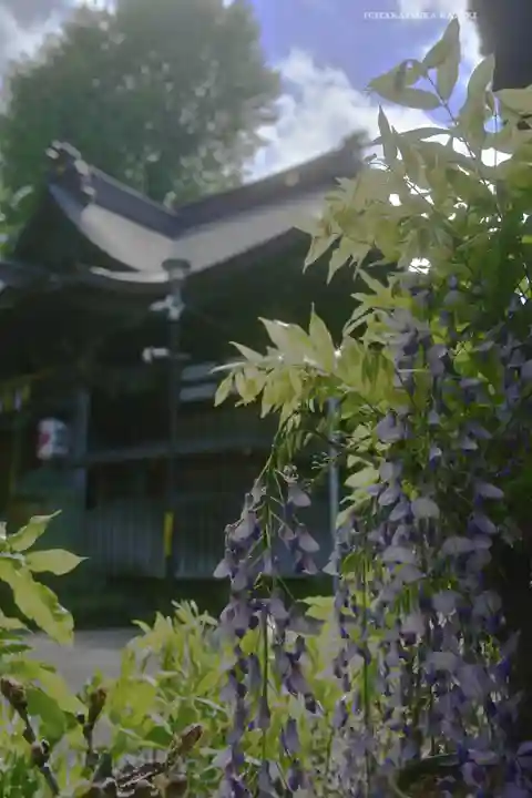 滝野川八幡神社(東京都)