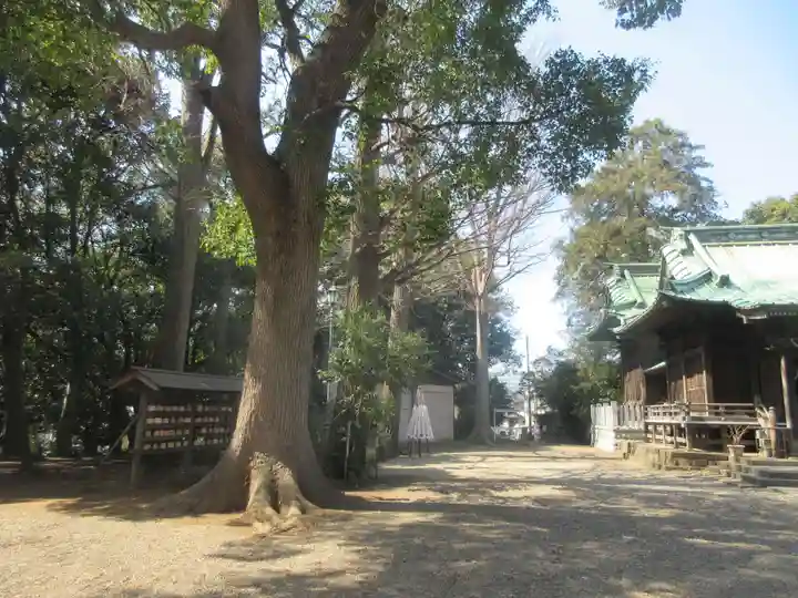 篠原八幡神社(神奈川県)