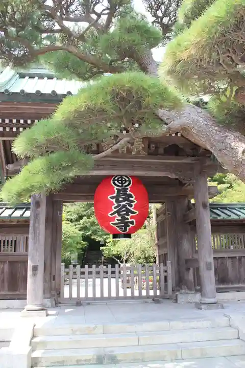 長谷寺の山門・神門