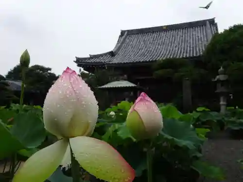 要法寺の本殿・本堂