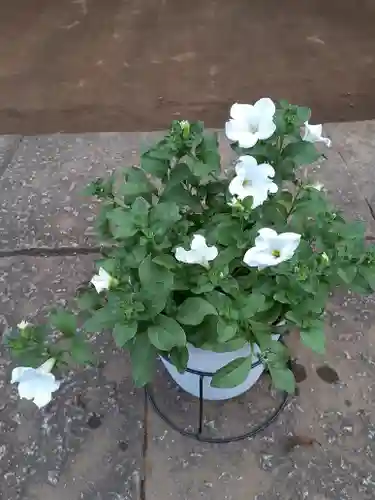 伏木香取神社の自然