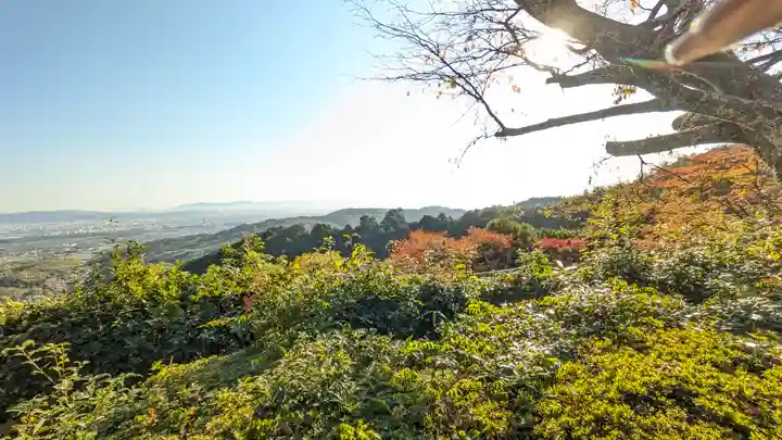 善峯寺(京都府)
