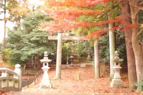 天津神社(新潟県)