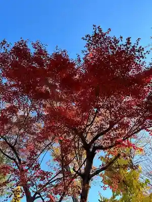 小野神社(東京都)