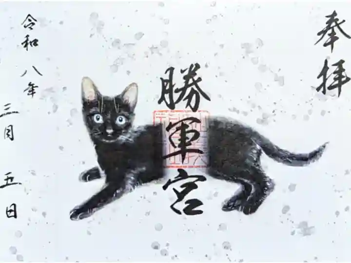 令和8年 見開き黒猫御朱印 2月28日〜
初穂料 500円