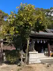 姫路神社の本殿