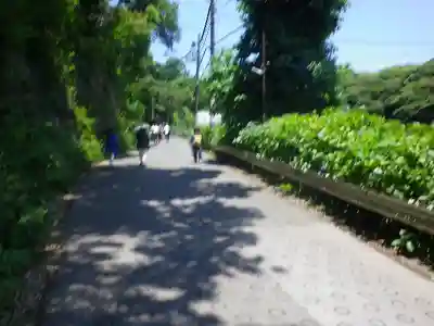 銭洗弁財天宇賀福神社の周辺
