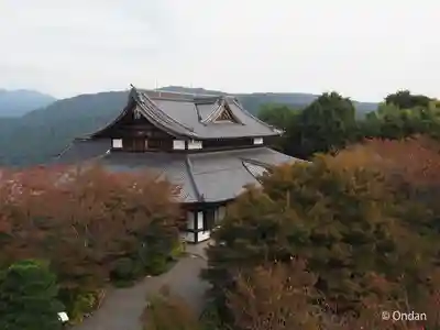 将軍塚青龍殿（青蓮院門跡）(京都府)