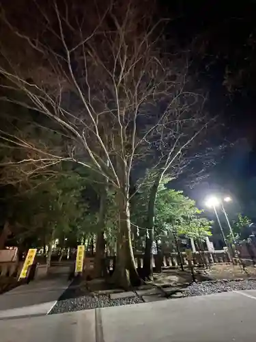 布多天神社(東京都)