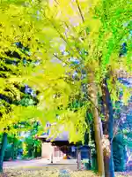 岡見八坂神社(茨城県)