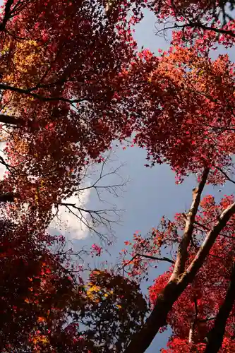 光悦寺(京都府)