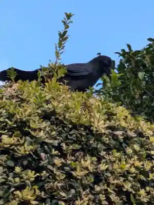 寳蓮寺(東京都)
