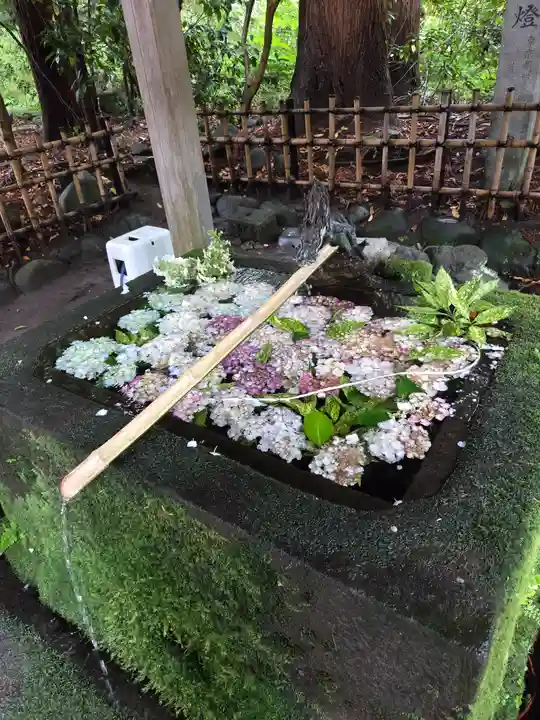 伊佐須美神社(福島県)