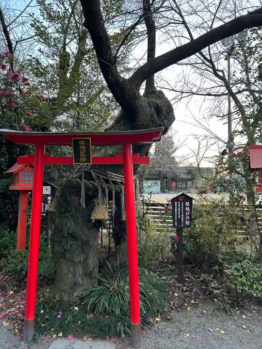 冠稲荷神社(群馬県)