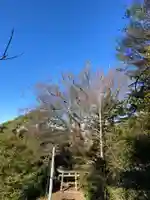 蚕影神社の鳥居