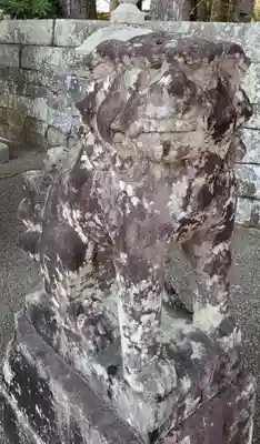 榎原神社の狛犬