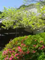 浄光明寺の自然