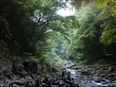 天岩戸神社の自然