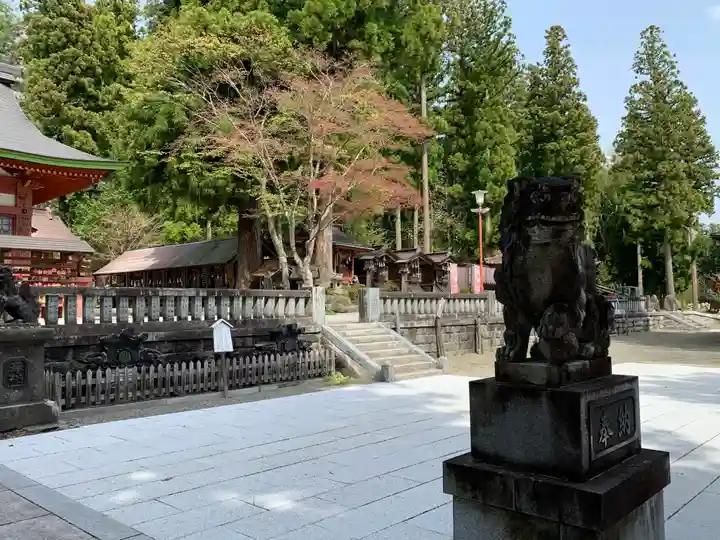 遠野郷八幡宮の狛犬