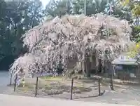 (長良)天神神社(岐阜県)