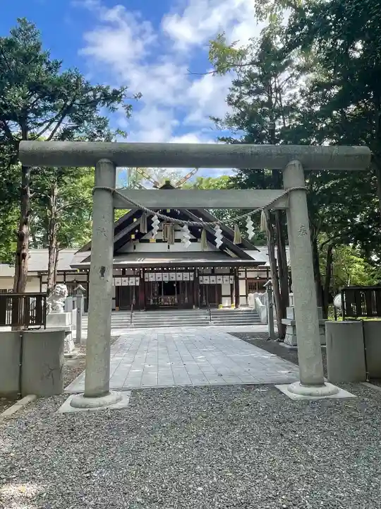 新琴似神社の鳥居