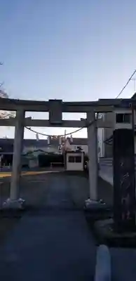 古新田稲荷神社の鳥居