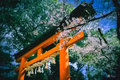 廣瀬大社(奈良県)