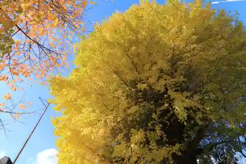 晴門田神社の自然