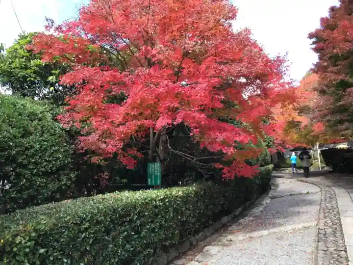 龍安寺(京都府)