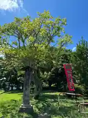 諏訪神社(真田本城跡)(長野県)