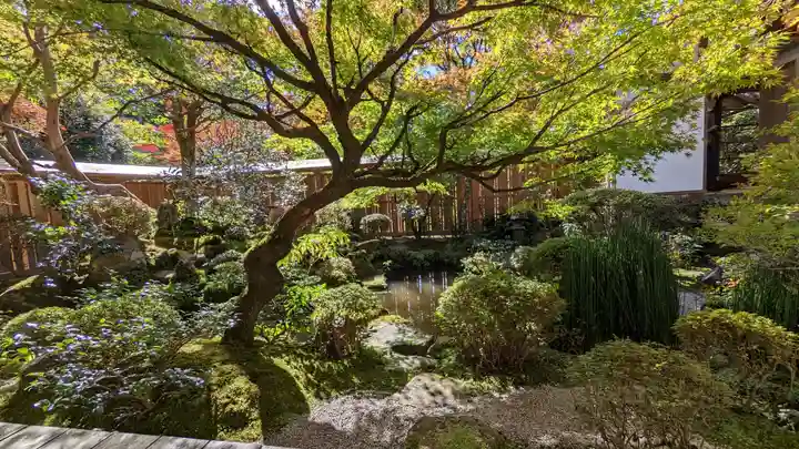 宝泉院(京都府)