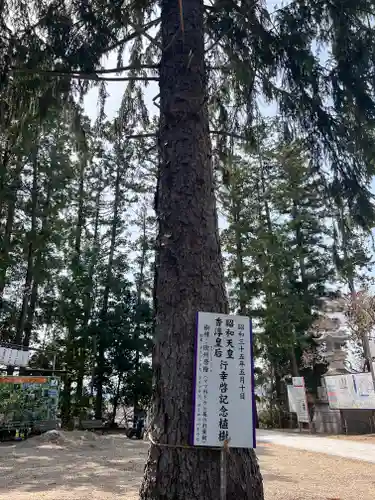 寒河江八幡宮(山形県)