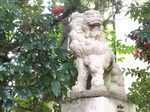 八雲神社（鎌倉・大町）の狛犬