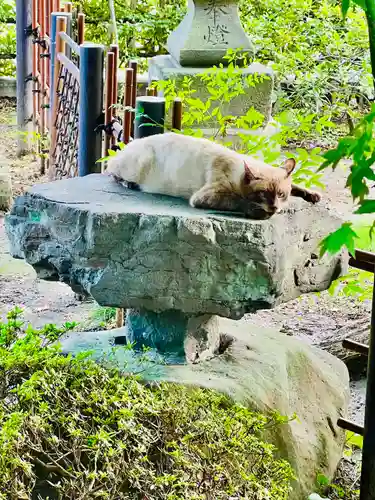 妙見寺(宮城県)