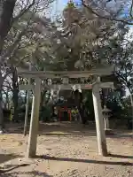 膳所神社の鳥居