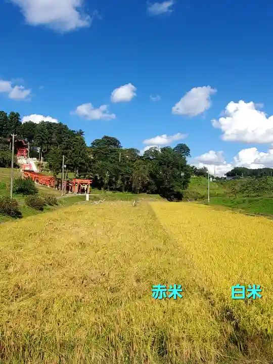高屋敷稲荷神社(福島県)