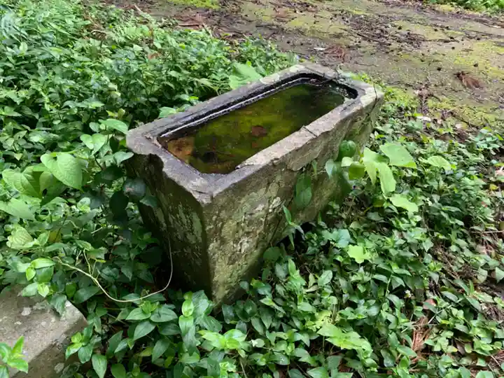 安房大杉神社の手水舎