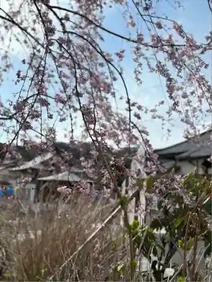 松源寺(群馬県)